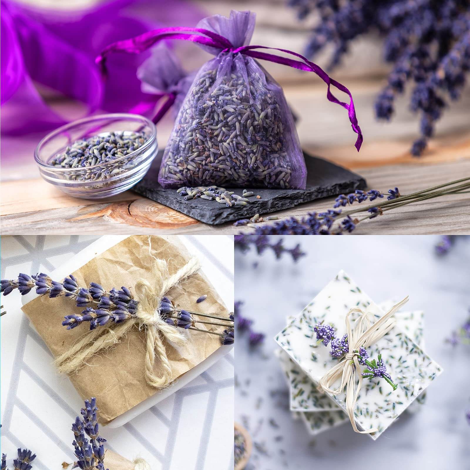Lavender Buds